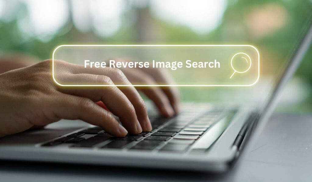 Free Reverse Image Search